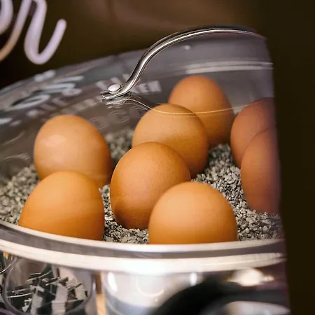 Koeln-ehrenfeld Hotel Cologne